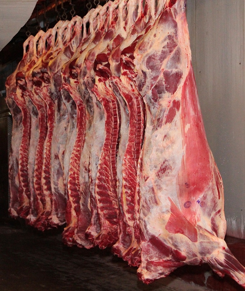 Carnicería Halal